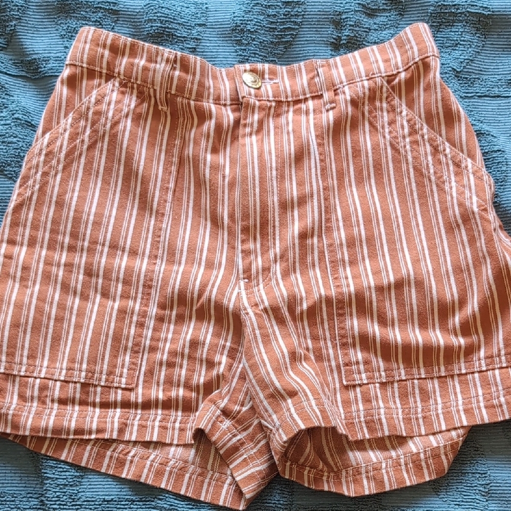 Big Bud Press Striped Orange SM Shorts